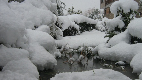 Záhradné jazierko v zime pri -25 °C