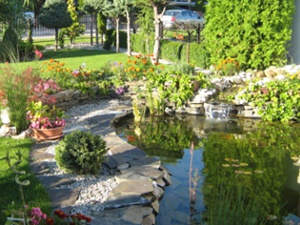 Voda v záhrade - Záhradné jazierko