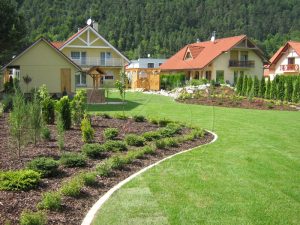 Súkromná záhrada Považská Bystrica - Okrasná výsadba