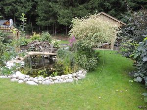 Záhrada pri chate - Záhradné jazierko