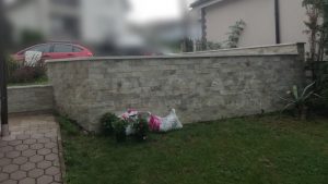 Rekonštrukcia predzáhradky - Pôvodný stav